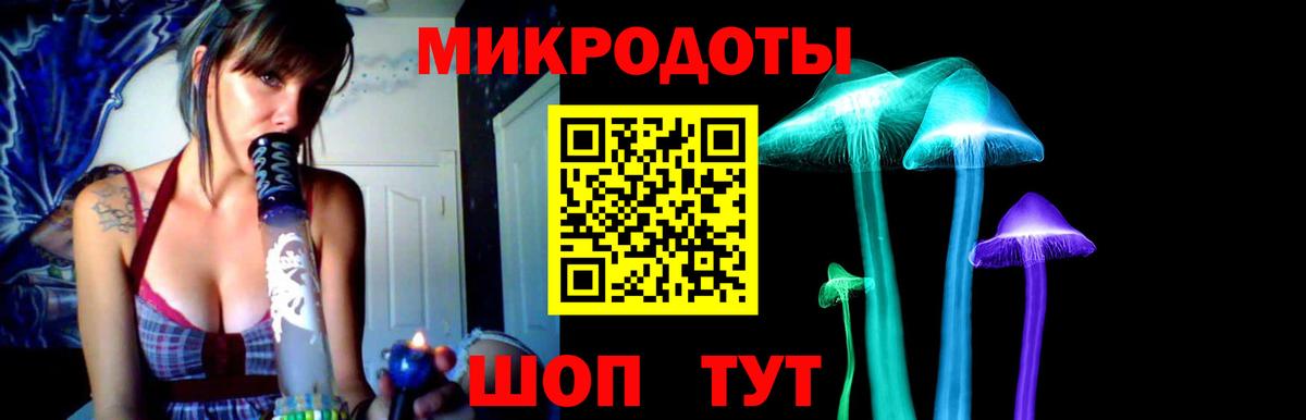 Псилоцибиновые грибы Psilocybe Шуя